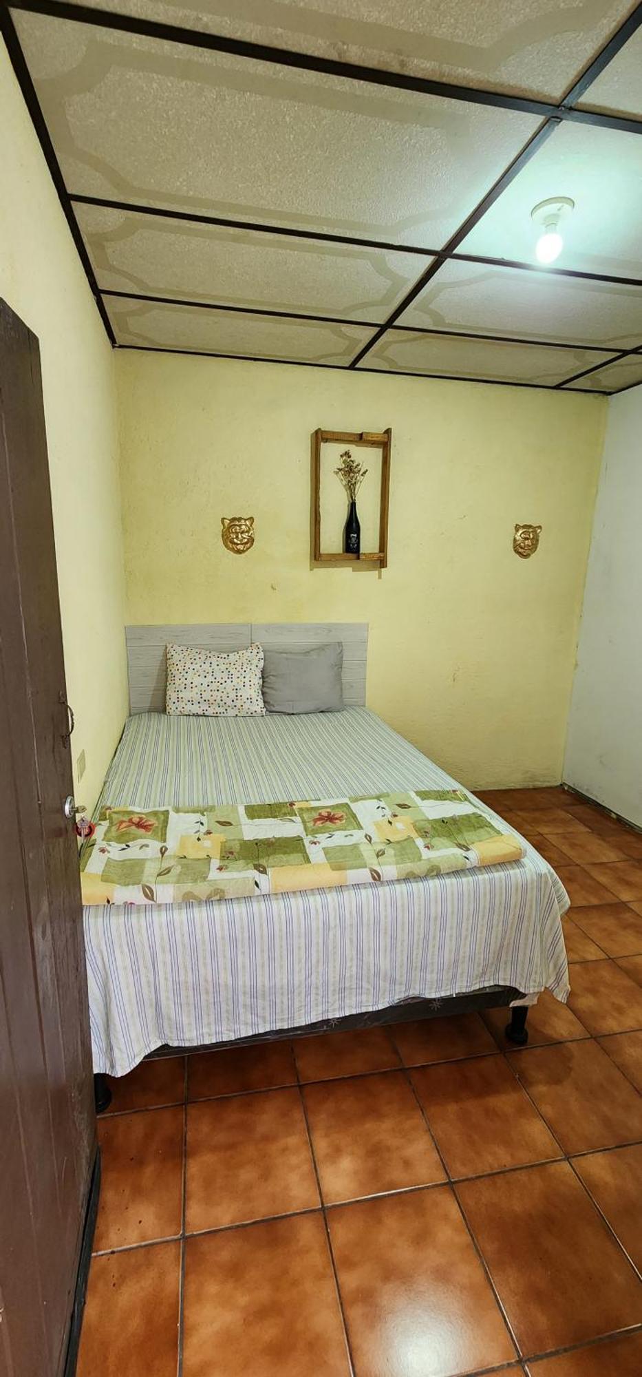 Jaguar Basic Accommodation Antigua Exterior foto